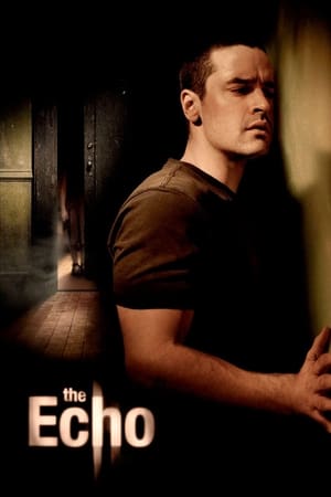The Echo (2008) Hindi Dual Audio 480p BluRay 300MB HD Poster Download - filmyfly