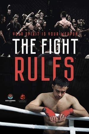 The Fight Rules 2017 Hindi Dual Audio 720p WebRip [730MB] HD Poster Download - filmyfly