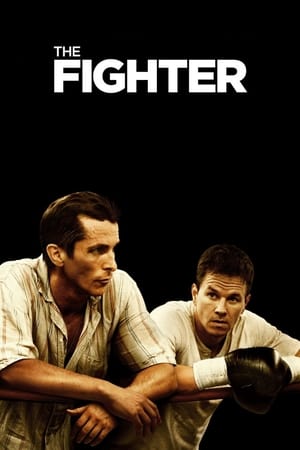 The Fighter (2010) Hindi Dual Audio 480p BluRay 360MB HD Poster Download - filmyfly