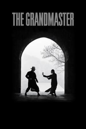 The Grandmaster (2013) Hindi Dual Audio 720p BluRay [1GB] ESubs HD Poster Download - filmyfly