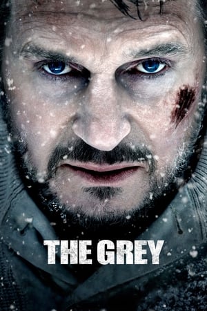 The Grey 2011 Hindi Dual Audio 480p BluRay 360MB HD Poster Download - filmyfly