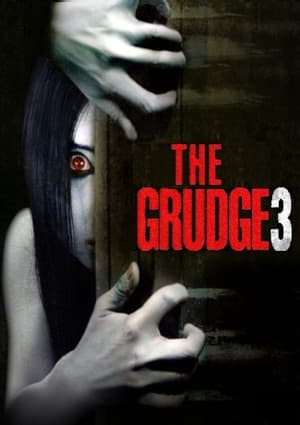 The Grudge 3 2009 Hindi Dual Audio 480p Web-DL 300MB HD Poster Download - filmyfly