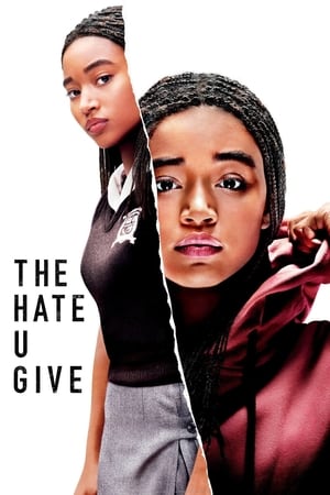 The Hate U Give (2018) Hindi Dual Audio 480p BluRay 450MB HD Poster Download - filmyfly