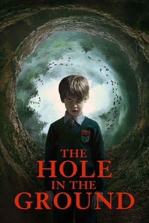 The Hole in the Ground 2019 Hindi Dual Audio 720p BluRay [830MB] HD Poster Download - filmyfly