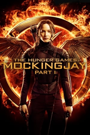 The Hunger Games: Mockingjay - Part 1 (2014) Hindi Dual Audio 720p BluRay [1.1GB] HD Poster Download - filmyfly