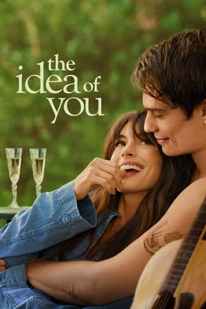 The Idea of You 2024 Hindi Dual Audio HDRip 1080p – 720p – 480p HD Poster Download - filmyfly