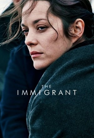 The Immigrant (2013) Hindi Dual Audio 480p BluRay 300MB HD Poster Download - filmyfly