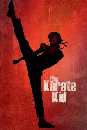 The Karate Kid 2010 Hindi Dubbed 300MB 480p Full Movie HD Poster Download - filmyfly