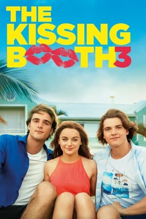The Kissing Booth 3 2021 Hindi Dual Audio 720p Web-DL [1GB] HD Poster Download - filmyfly