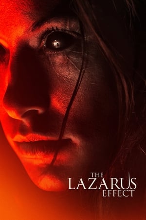 The Lazarus Effect (2015) Hindi Dual Audio 480p BluRay 300MB HD Poster Download - filmyfly