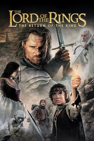 The Lord of the Rings: The Return of the King (2003) Hindi Dubbed BluRay 720p [1.8GB] Download HD Poster Download - filmyfly