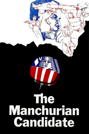 The Manchurian Candidate 2004 Hindi 480p Dual Audio BluRay 400MB HD Poster Download - filmyfly