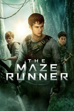 The Maze Runner (2014) Hindi Dual Audio 480p BluRay 400MB HD Poster Download - filmyfly
