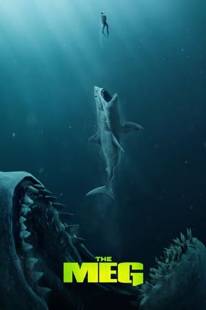 The Meg (2018) Hindi (Org) Dual Audio 480p BluRay 350MB HD Poster Download - filmyfly