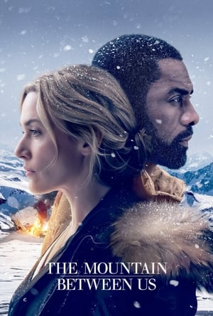 The Mountain Between Us 2017 Dual Audio Hindi 480p Bluray 350MB HD Poster Download - filmyfly