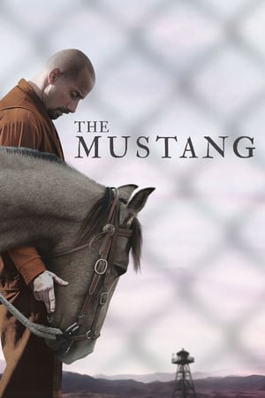 The Mustang (2019) Hindi Dual Audio 480p BluRay 300MB HD Poster Download - filmyfly