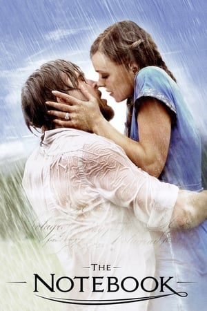 The Notebook 2004 Dual Audio Hindi 480p BRRip 400MB HD Poster Download - filmyfly