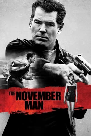 The November Man 2014 100mb Hindi Dual Audio movie Hevc BRRip Download HD Poster Download - filmyfly