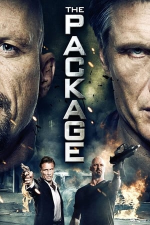 The Package (2013) Hindi Dual Audio 720p HDRip [750MB] HD Poster Download - filmyfly