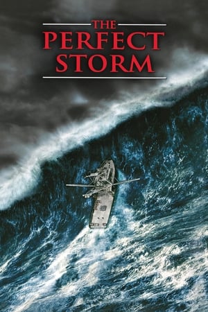 The Perfect Storm (2000) Hindi Dual Audio 480p HDRip 450MB HD Poster Download - filmyfly