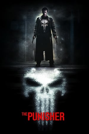 The Punisher 2004 Hindi Dual Audio WEB-DL 1080p - 720p - 480p HD Poster Download - filmyfly