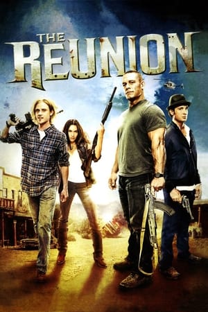 The Reunion (2011) Hindi Dual Audio 720p HDRip [900MB] HD Poster Download - filmyfly