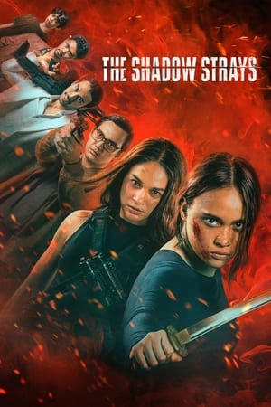The Shadow Strays 2024 Hindi Dual Audio HDRip 1080p – 720p – 480p HD Poster Download - filmyfly