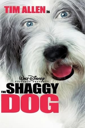 The Shaggy Dog (2006) Hindi Dual Audio 480p BluRay 300MB HD Poster Download - filmyfly