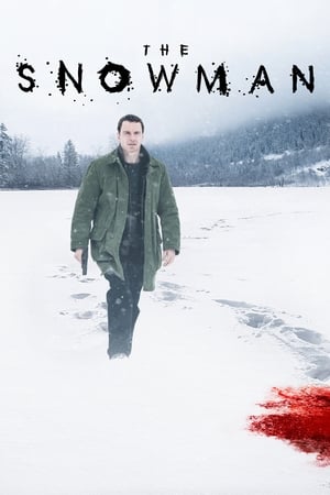 The Snowman (2017) Hindi Dual Audio 720p BluRay [1.1GB] HD Poster Download - filmyfly