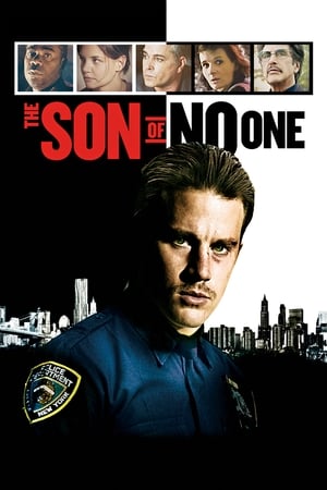 The Son of No One (2011) Hindi Dual Audio 480p BluRay 300MB HD Poster Download - filmyfly