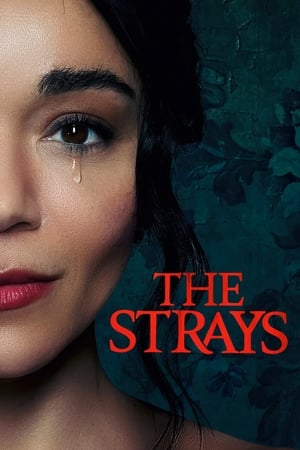 The Strays 2023 Hindi Dual Audio HDRip 720p – 480p HD Poster Download - filmyfly