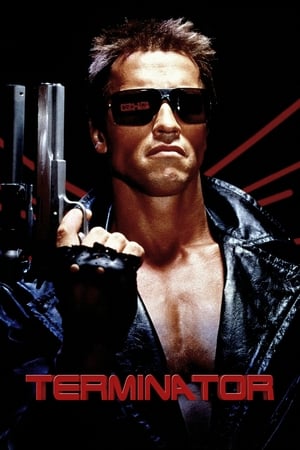 The Terminator (1984) Hindi Dual Audio 480p BluRay 380MB HD Poster Download - filmyfly