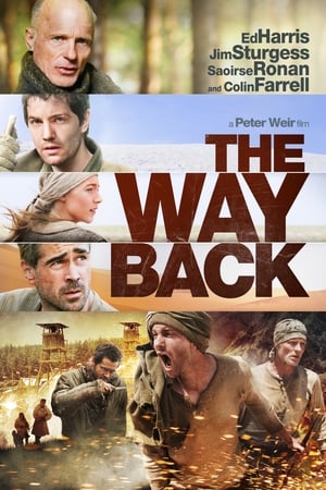 The Way Back (2010) Hindi Dual Audio 480p BluRay 400MB HD Poster Download - filmyfly