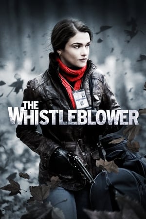 The Whistleblower 2010 Hindi Dual Audio 480p bluRay 350MB HD Poster Download - filmyfly