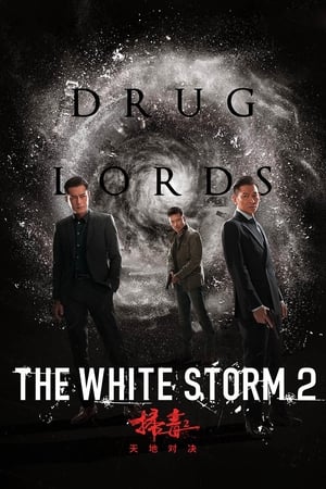 The White Storm 2: Drug Lords (2019) Hindi (Org) 480p HDRip 300MB HD Poster Download - filmyfly