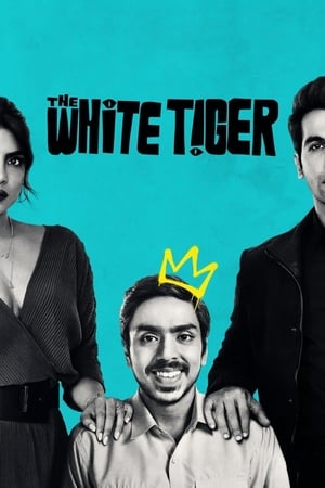 The White Tiger (2021) Hindi Movie 720p HDRip x264 [990MB] HD Poster Download - filmyfly