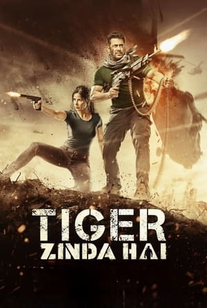 Tiger Zinda Hai 2017 Hindi Audio WEB-DL 1080p - 720p - 480p HD Poster Download - filmyfly