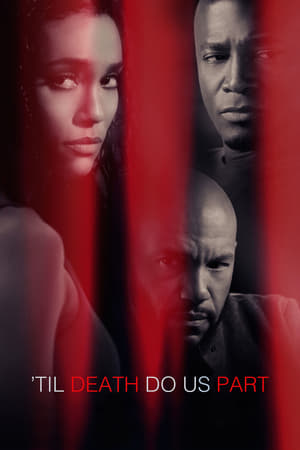 Til Death Do Us Part 2017 Hindi Dual Audio 480p Web-DL 300MB HD Poster Download - filmyfly