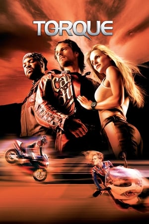 Torque 2004 300MB Hindi Dual Audio BRRip Download HD Poster Download - filmyfly