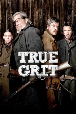 True Grit (2010) Hindi Dual Audio 720p BluRay [950MB] HD Poster Download - filmyfly