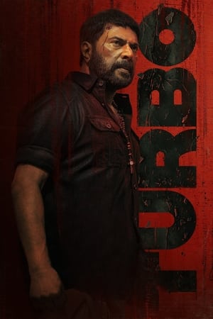 Turbo 2024 Hindi Dual Audio HDRip 1080p – 720p – 480p HD Poster Download - filmyfly