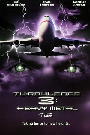 Turbulence 3 Heavy Metal 2001 Hindi Dual Audio 720p Web-DL [1GB] HD Poster Download - filmyfly