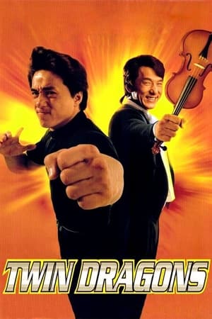Twin Dragons 1992 [Hindi] Dual Audio BRRip 300MB HD Poster Download - filmyfly