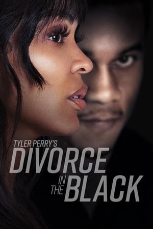 Tyler Perry’s Divorce in the Black (2024) Hindi Dual Audio HDRip 1080p – 720p – 480p HD Poster Download - filmyfly