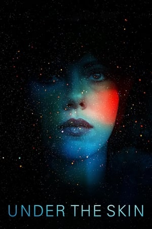 Under the Skin 2013 Hindi Dual Audio 720p BluRay [850MB] HD Poster Download - filmyfly