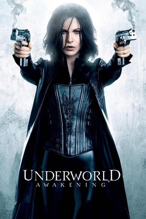 Underworld Awakening (2012) 100mb Hindi Dual Audio movie Hevc BRRip Download HD Poster Download - filmyfly