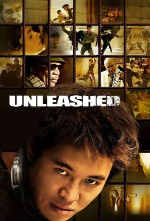 Unleashed (2005) Hindi Dual Audio 480p BluRay 360MB HD Poster Download - filmyfly