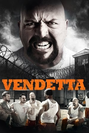 Vendetta 2015 Hindi Dual Audio 480p BluRay 300MB HD Poster Download - filmyfly