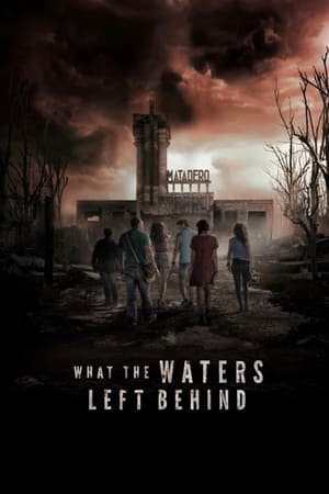 What the Waters Left Behind 2017 Hindi Dual Audio HDRip 720p – 480p HD Poster Download - filmyfly