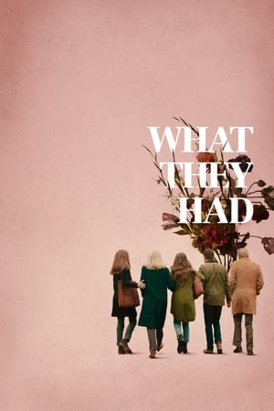 What They Had (2018) Hindi Dual Audio 480P BluRay 350MB HD Poster Download - filmyfly